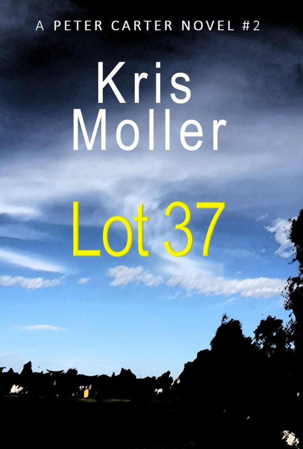 Big bigCover of Lot 37