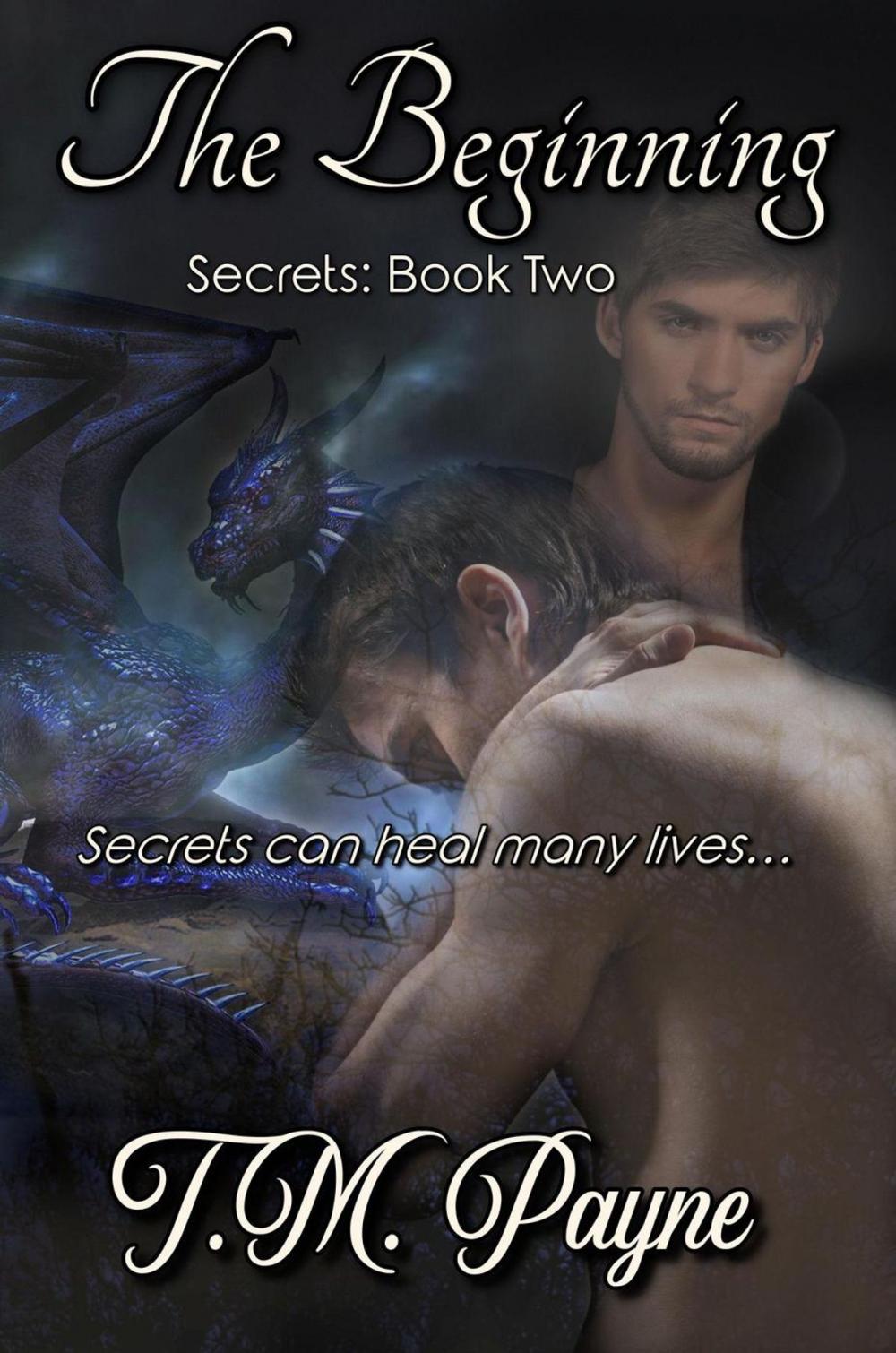 Big bigCover of The Beginning: Secrets: Book Two