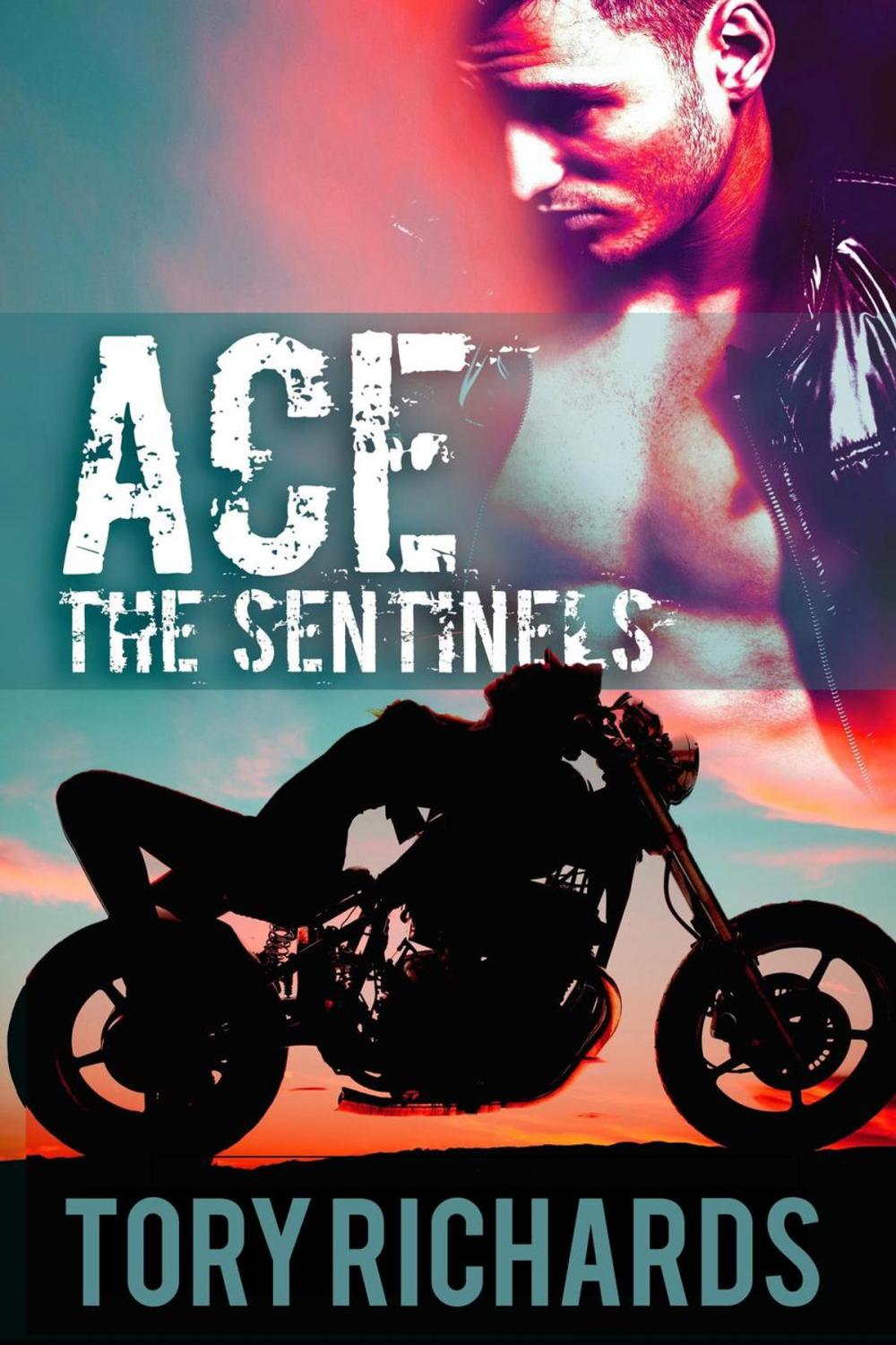Big bigCover of Ace