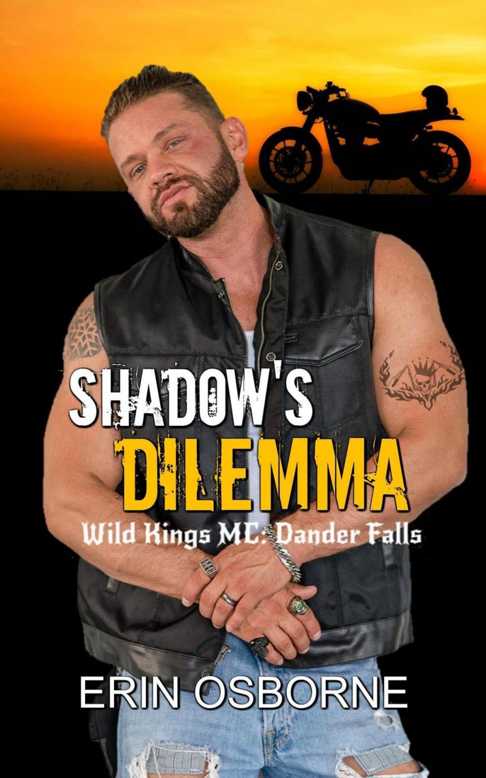 Big bigCover of Shadow's Dilemma