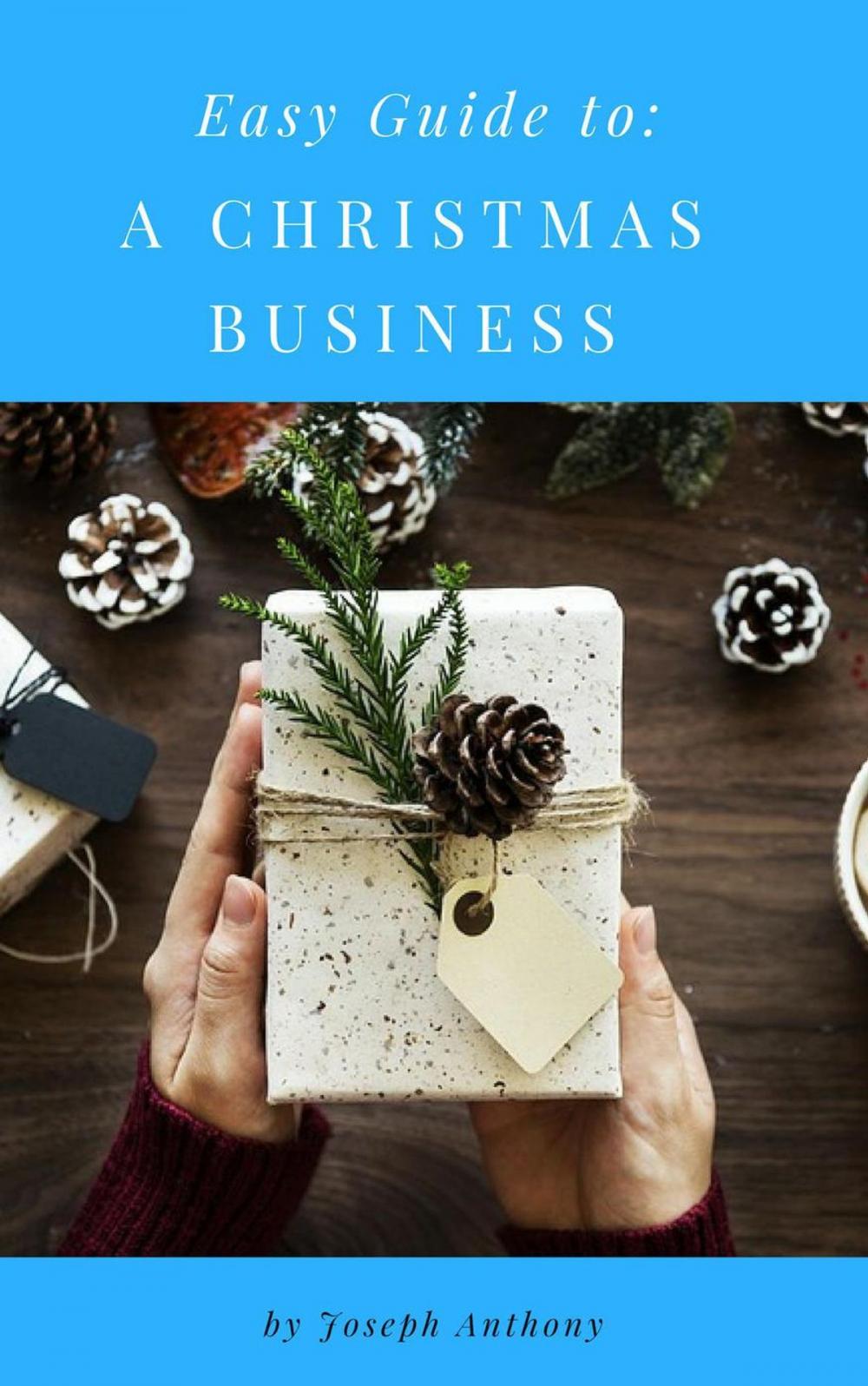 Big bigCover of Easy Guide to: A Christmas Business
