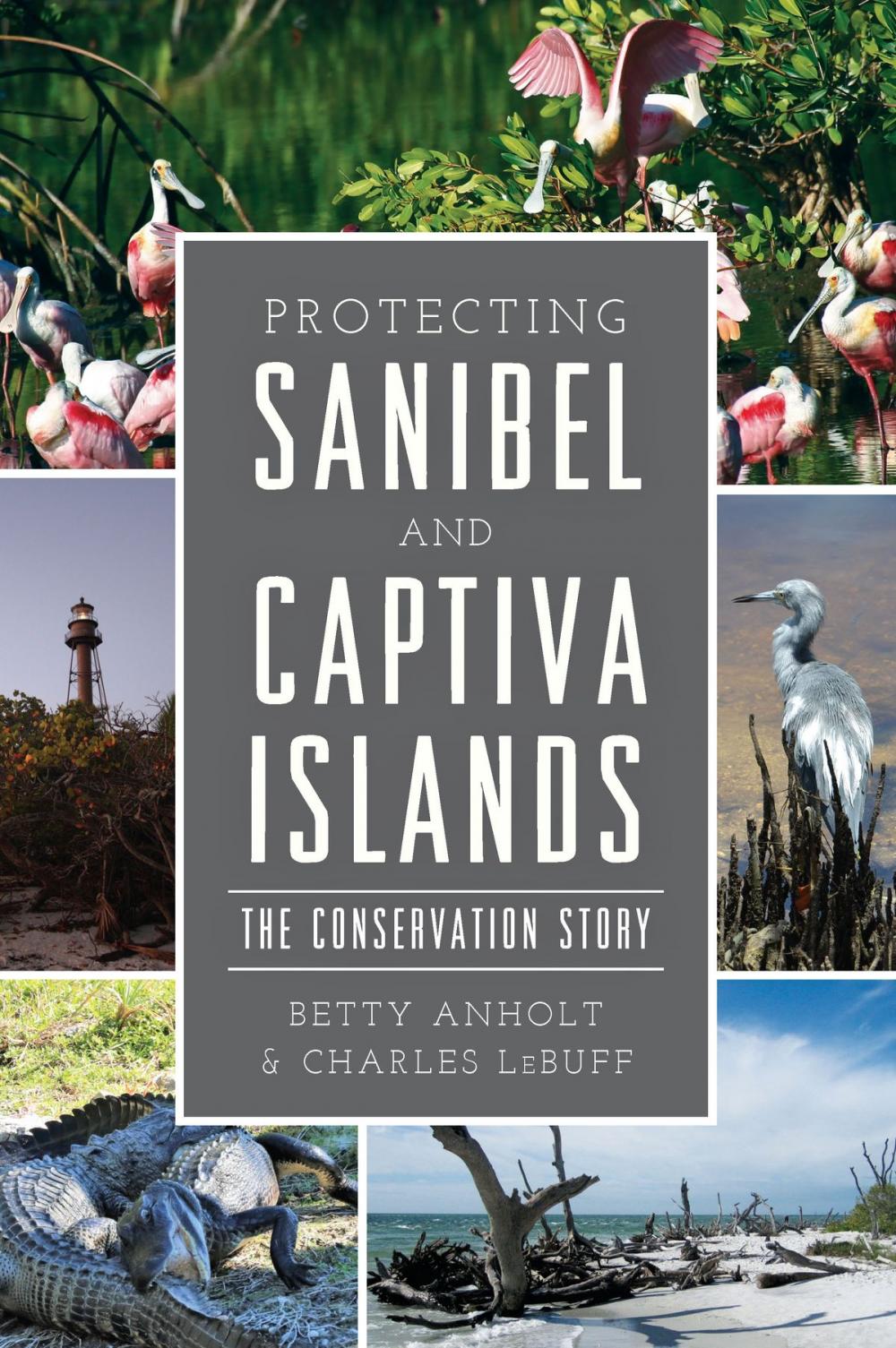 Big bigCover of Protecting Sanibel and Captiva Islands