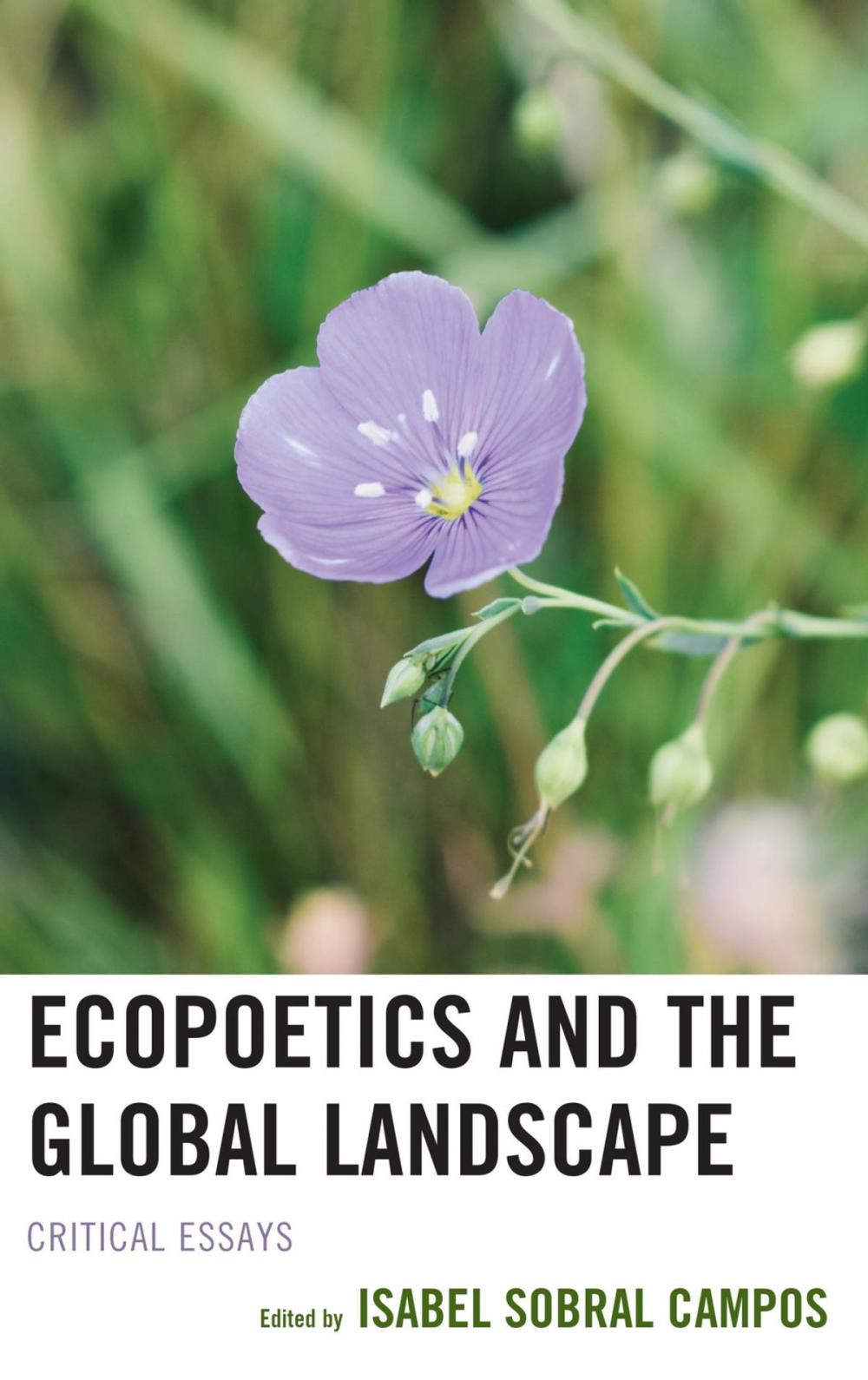Big bigCover of Ecopoetics and the Global Landscape