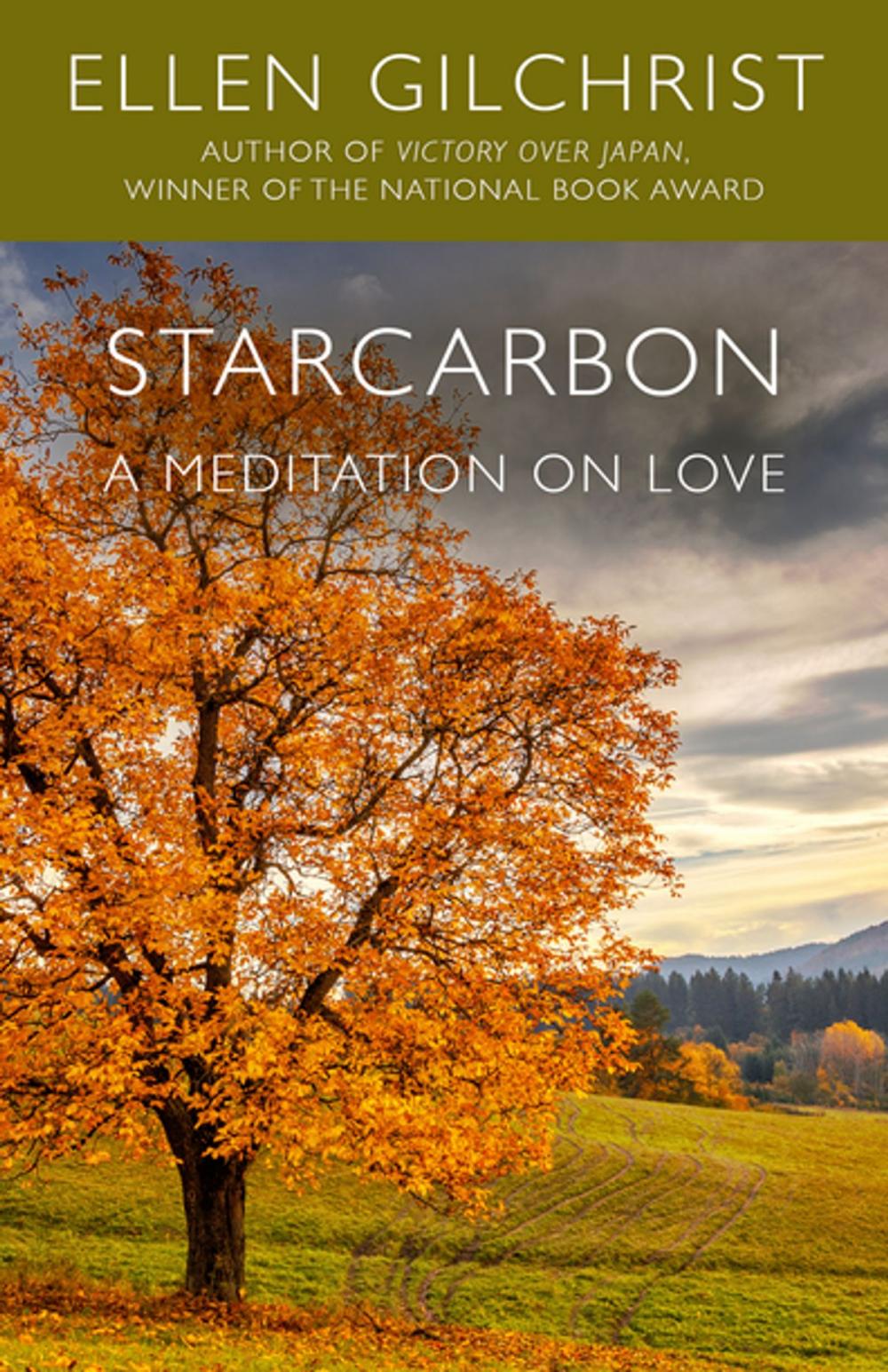 Big bigCover of Starcarbon