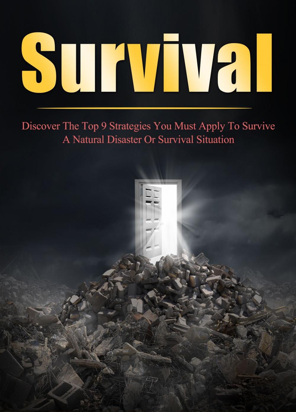 Big bigCover of Survival Discover The Top 9 Strategies You Must Apply To Survive A Natural Disaster Or Survival Situation