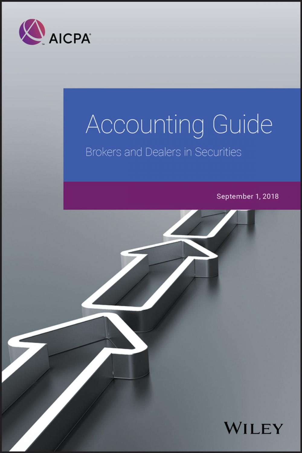 Big bigCover of Accounting Guide