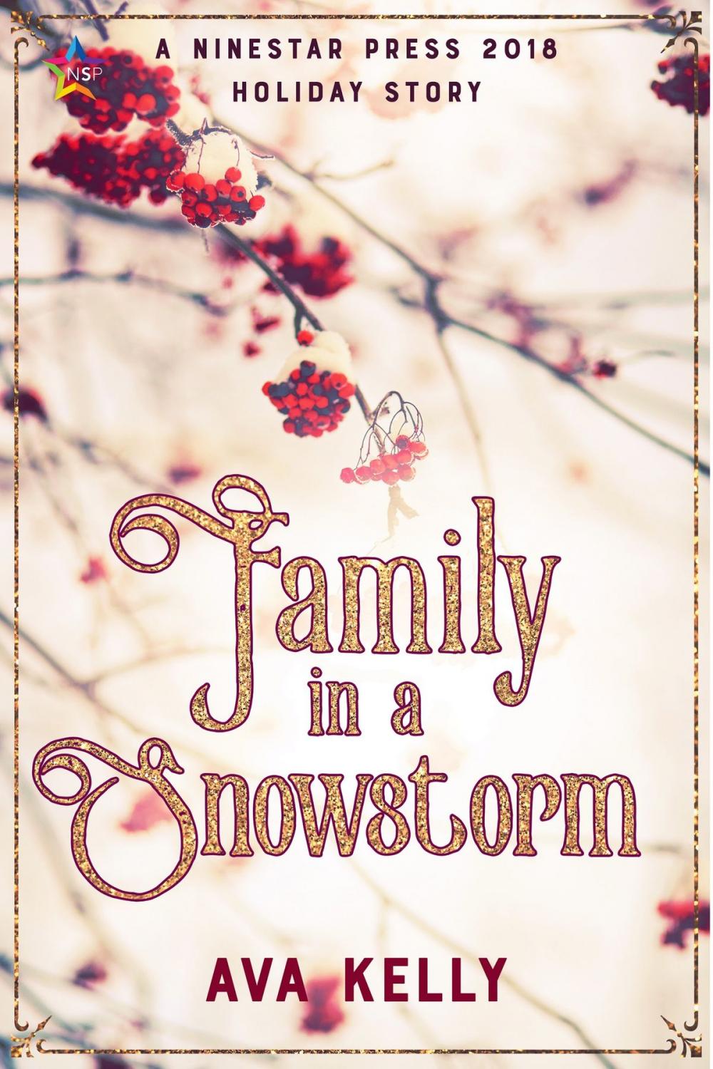 Big bigCover of Family in a Snowstorm