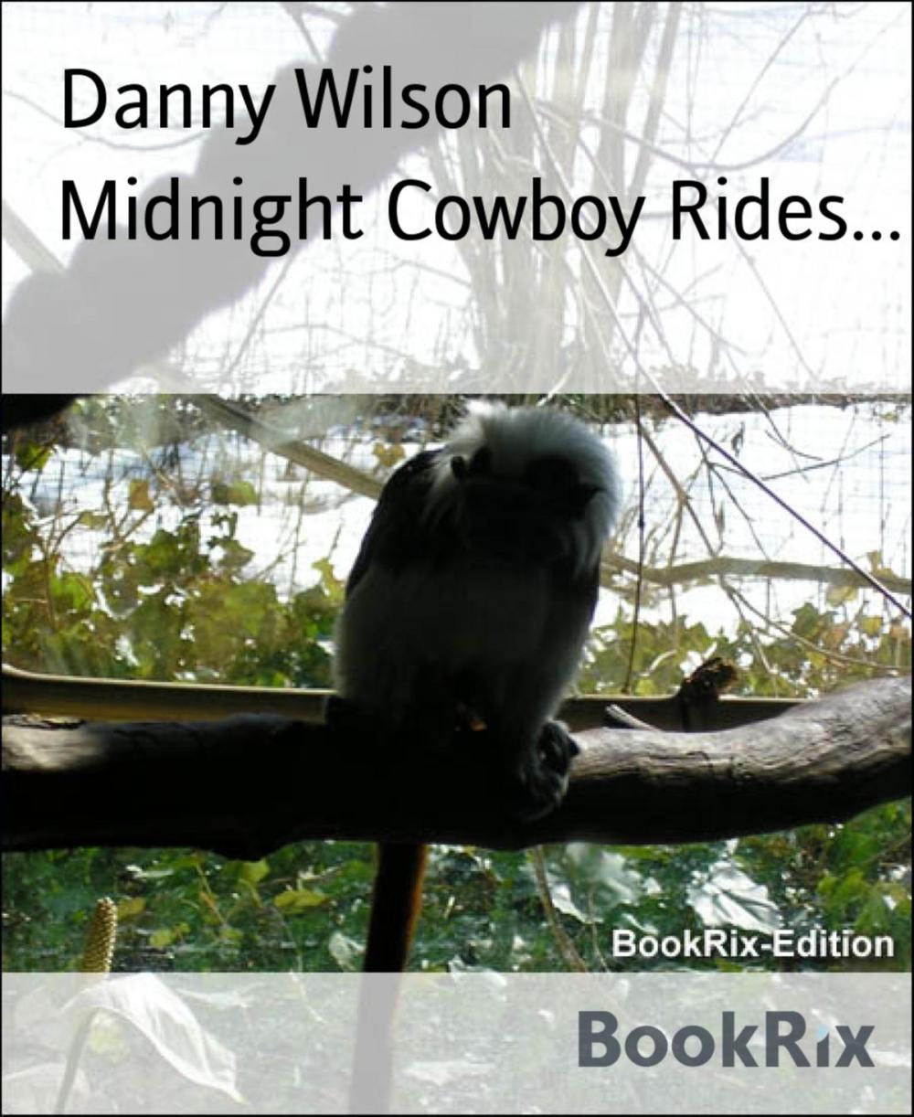 Big bigCover of Midnight Cowboy Rides...