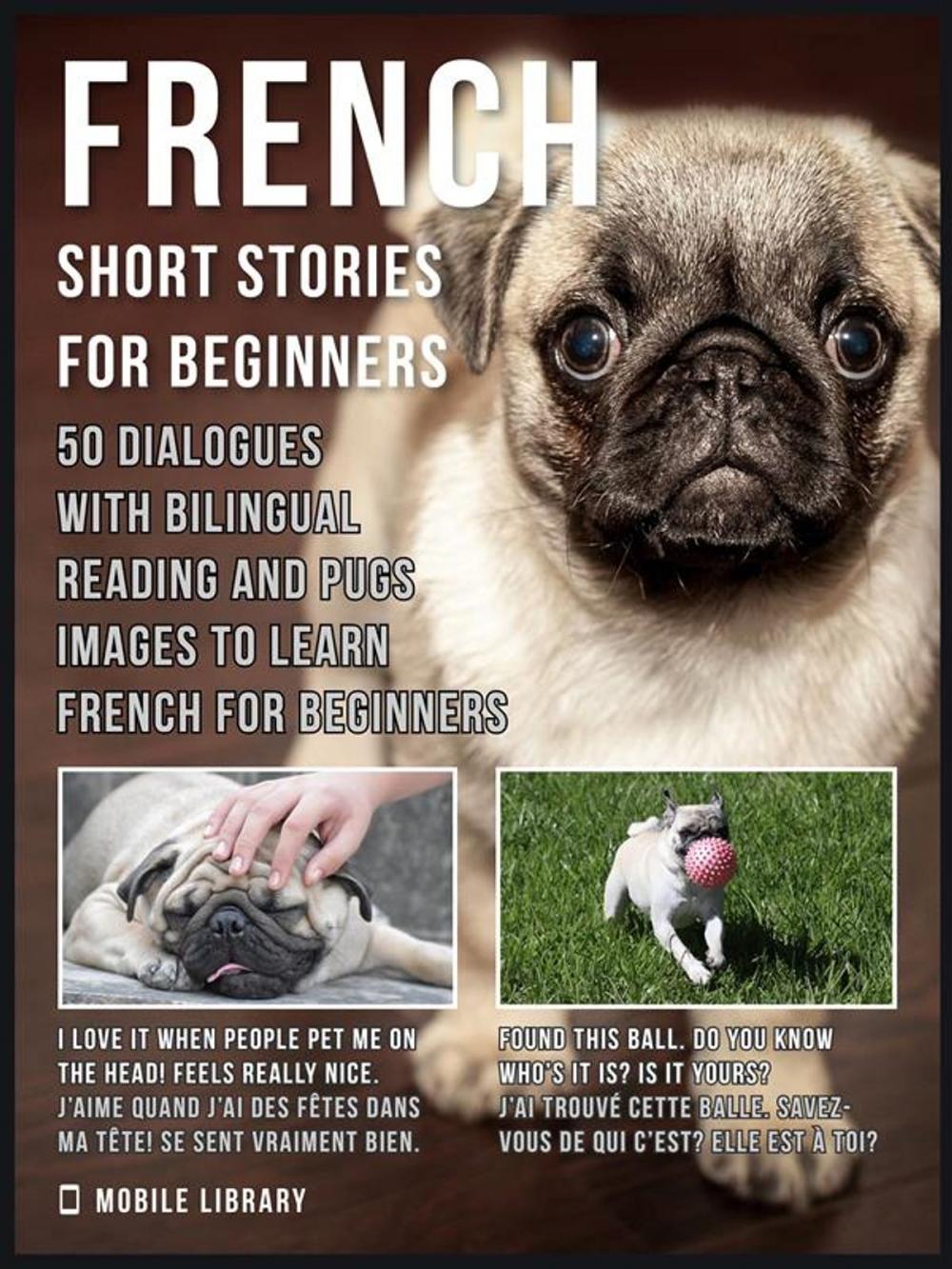 Big bigCover of French Short Stories for Beginners