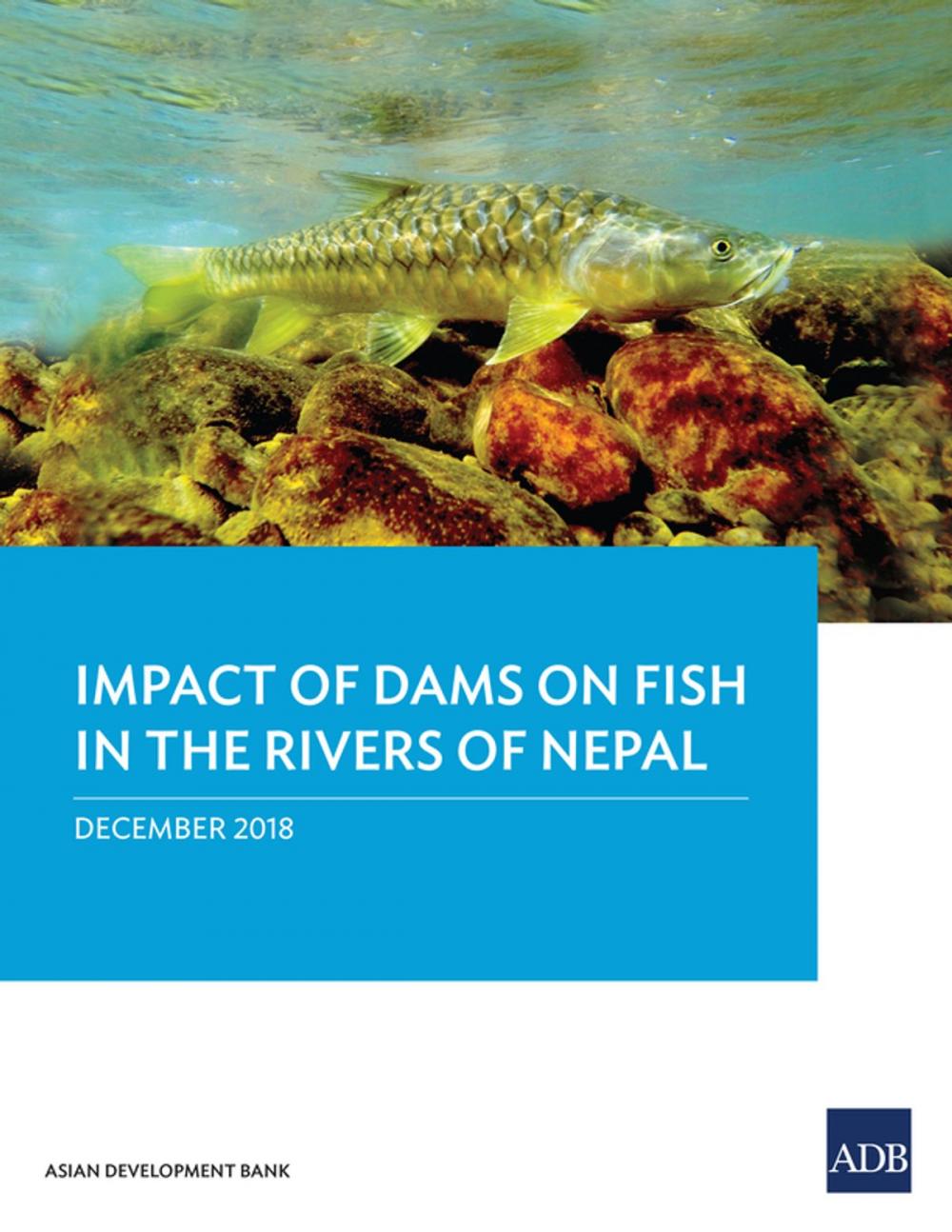 Big bigCover of Impact of Dam on Fish in the Rivers of Nepal