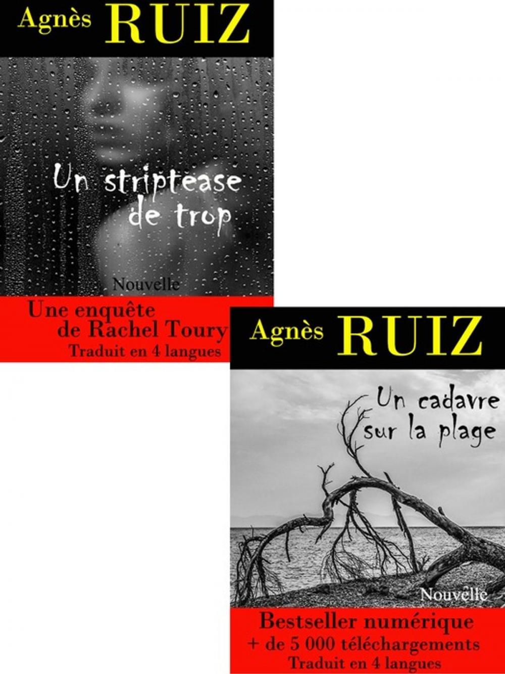 Big bigCover of Les enquêtes de Rachel Toury, volume 2