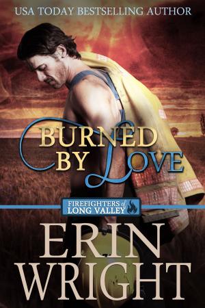 Cover of the book Burned by Love by Erin Wright