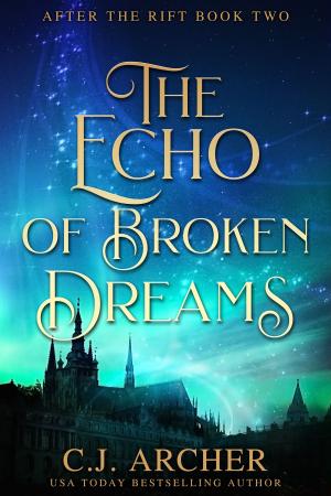 Cover of the book The Echo of Broken Dreams by R. James McCord