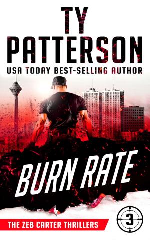Book cover of Burn Rate