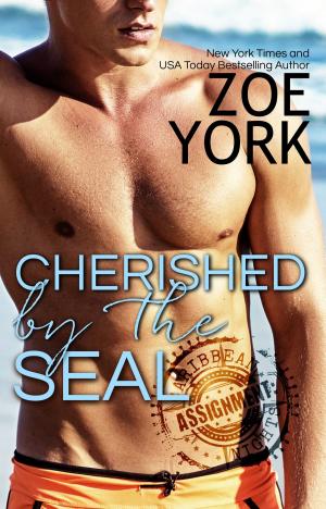 Cover of the book Cherished by the SEAL by Lisa De Jong