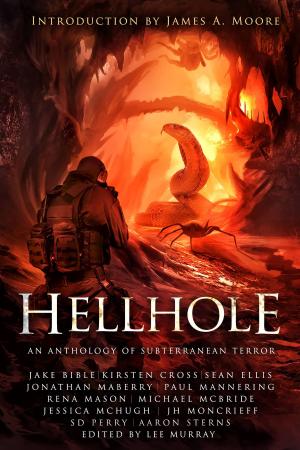 Cover of the book Hellhole by William Meikle