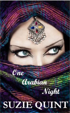 Cover of the book One Arabian Night by Sara C. Roethle
