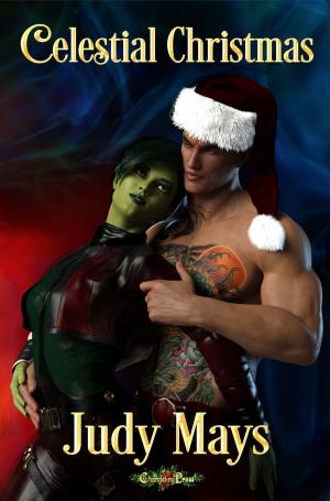 Cover of the book A Celestial Christmas by Shelby Morgen