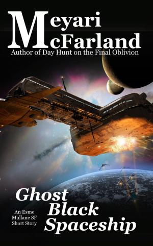 Cover of the book Ghost Black Spaceship by Meyari McFarland
