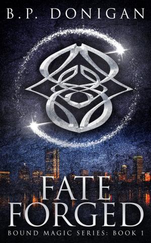 Cover of the book Fate Forged by Amber Argyle