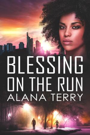 Book cover of Blessing on the Run