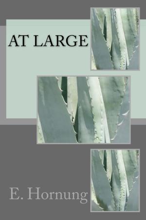 Cover of the book At Large by E. W. Hornung