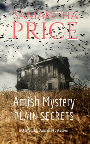 Cover of the book Amish Mystery: Plain Secrets by Émile Gaboriau