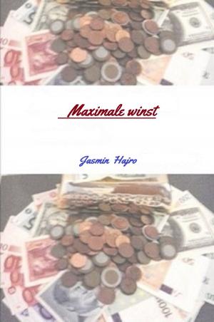 Cover of the book Maximale winst by Jasmin Hajro
