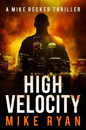 Cover of the book High Velocity by Alan Richards