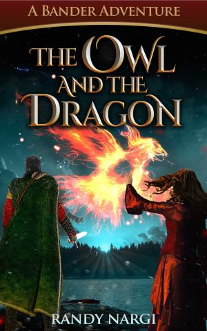 Cover of the book The Owl and the Dragon by Erika Birkenes