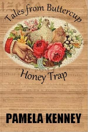Cover of the book Honey Trap by Susanne Schaaf, Dieter Sträuli