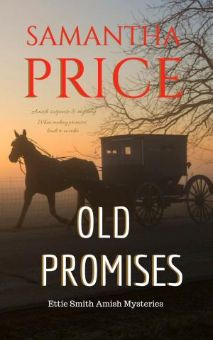 Cover of the book Old Promises by Robin Merrill