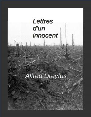 Cover of the book Lettres d'un innocent by JD Martin