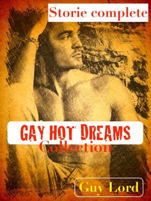 Cover of the book Gay Hot Dreams by Jonathan M Barrett