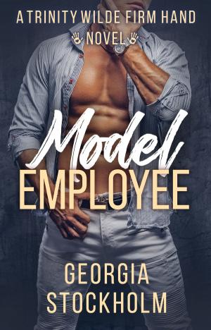 Book cover of Model Employee