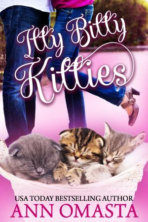 Cover of the book Itty Bitty Kitties by Ann Omasta