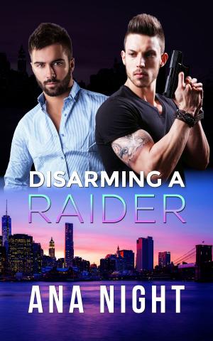 Cover of the book Disarming a Raider by Christianna Brand