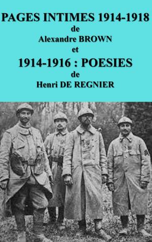 Book cover of PAGES INTIMES 1914-1918 de Alexandre BROWN et 1914-1916:POESIES de HENRI DE REGNIER