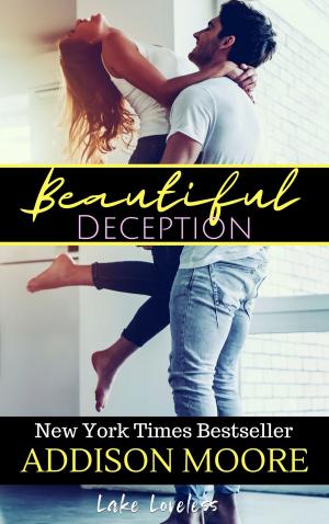 Cover of the book Beautiful Deception by Taylor Hohulin