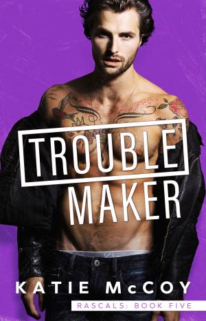 Book cover of Troublemaker
