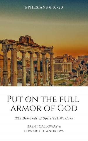 Cover of the book PUT ON THE FULL ARMOR OF GOD by Christopher H. K. Persaud