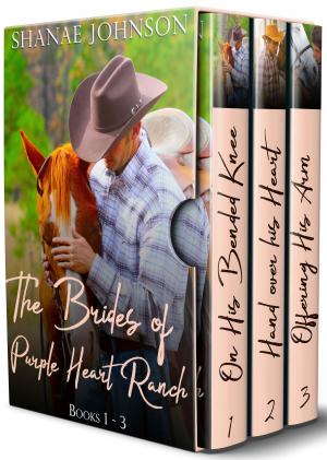 Book cover of The Brides of Purple Heart Ranch Boxset, Books 1-3