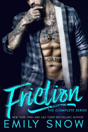 Cover of the book Friction by Elizabeth Barone