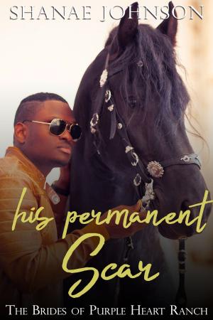 Cover of the book His Permanent Scar by Connie Furnari