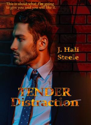 Cover of the book Tender Distraction by Jennifer Lyon