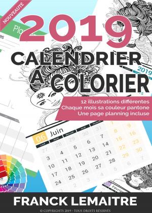 Cover of the book Calendrier 2019 à colorier by Doctor Harmony
