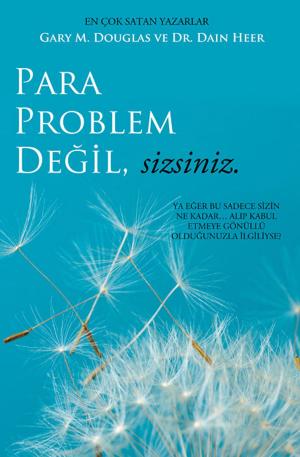 Book cover of Para Problem Değil, Sizsiniz