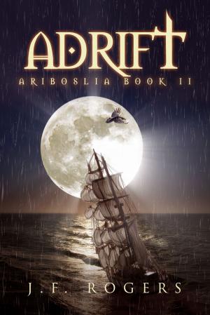 Cover of the book Adrift by Kristin Stecklein
