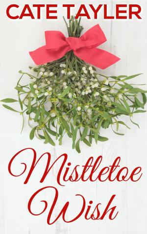 Cover of the book Mistletoe Wish by Annika Martin