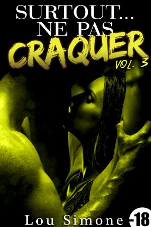 Cover of the book Surtout...Ne Pas Craquer ! by Monica Botha